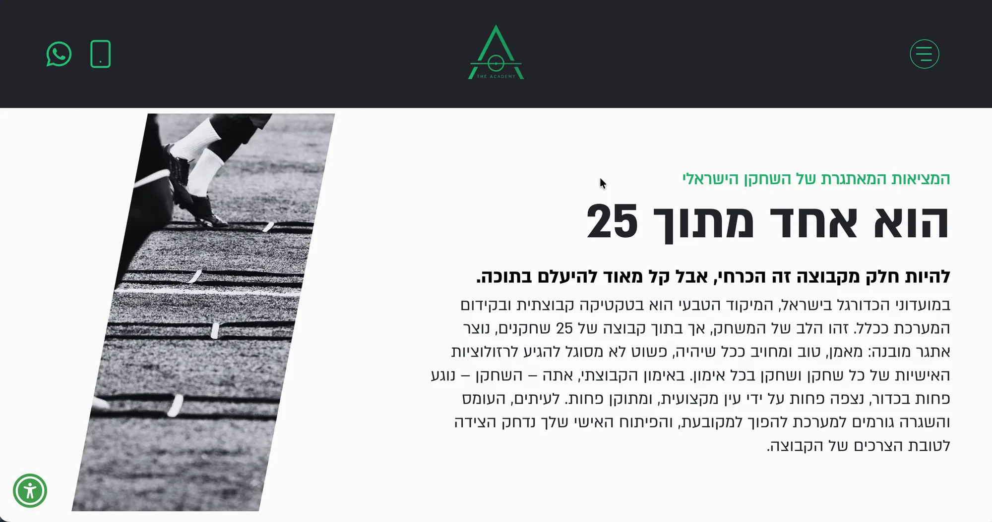 דו״ח הביצועים באתר של ProBall
